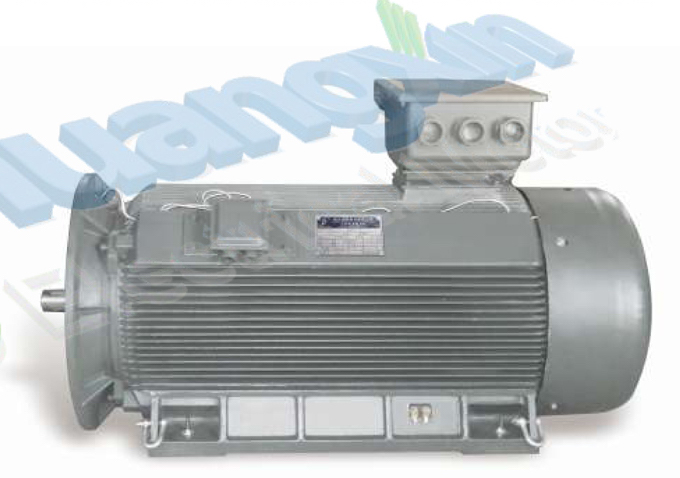 YE2ϵ�и�ѹ�����첽�綯��