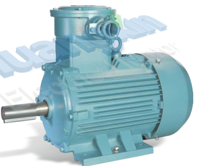 YBX3ϵ�и�Ч�ʸ����������첽�綯��